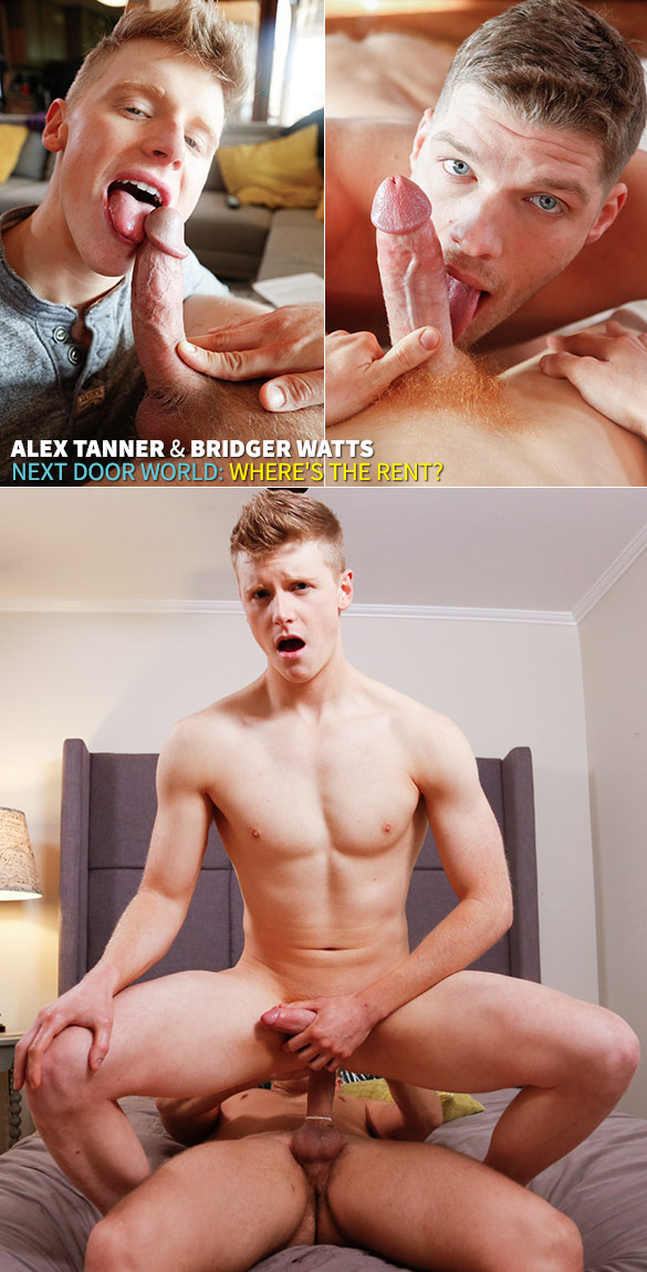 Next Door World: Bridger Watts pounds Alex Tanner in "Where's the Rent?"
