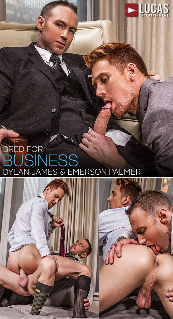 Lucas Entertainment: Dylan James gives Emerson Palmer's ass professional training in "Gentlemen 18: Bred for Business"