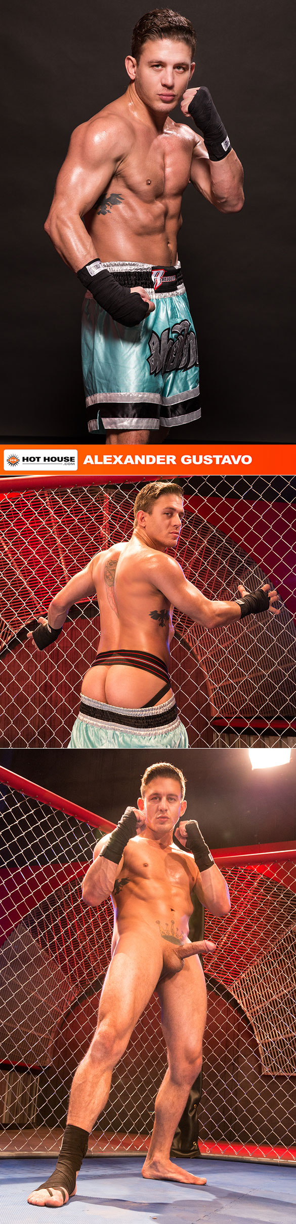 HotHouse: Trenton Ducati pounds Alexander Gustavo in "TKO Total Knockouts"