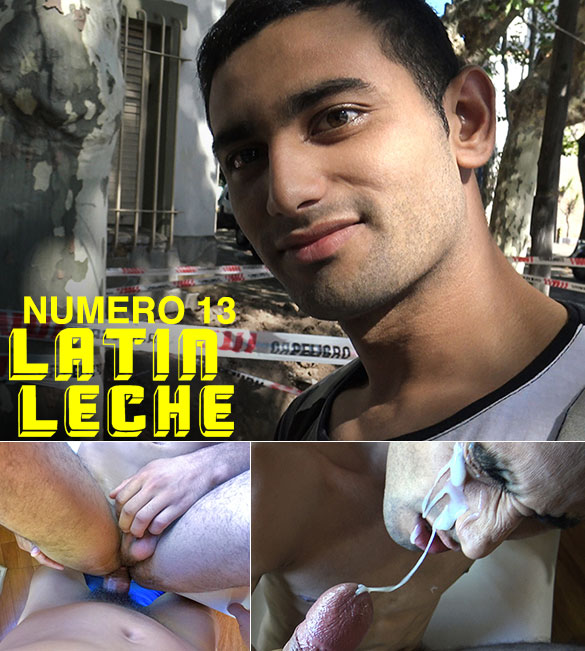Latin Leche: "Numero 13"