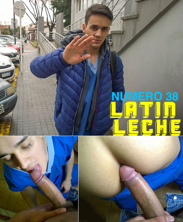 Latin Leche: "Numero 38"