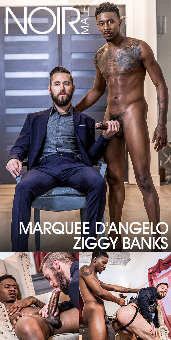 Noir Male: Marquee D.Angelo bangs Ziggy Banks in "Interview with an All Star"