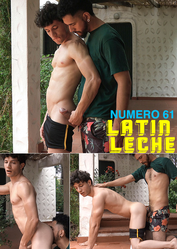 Latin Leche: "Numero 61" (Summer Trip, Chapter 2)
