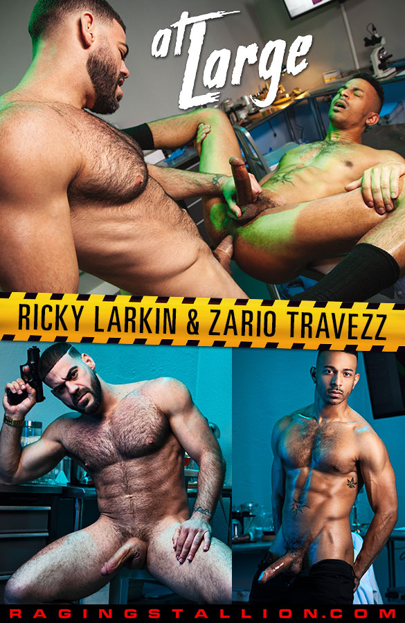 Raging Stallion: Ricky Larkin bangs Zario Travezz in "At Large"