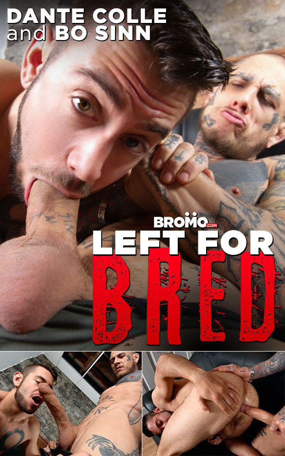 Bromo: Bo Sinn pounds Dante Colle raw in "Left for Bred"