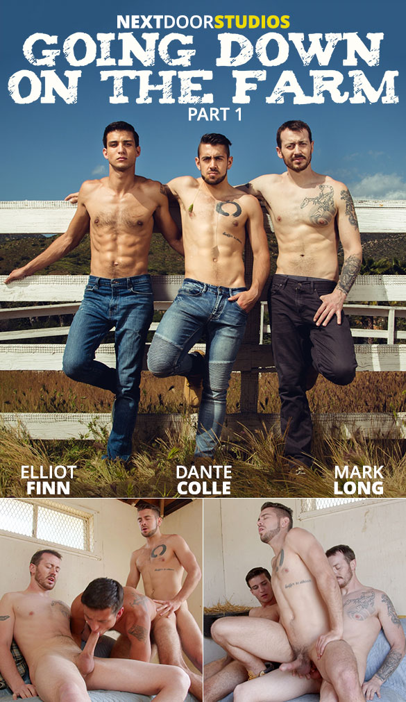 Next Door Studios: Mark Long, Dante Colle and Elliot Finn's raw threeway in "Going Down on the Farm, Part 1"