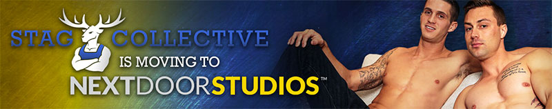 StagCollective now part of Next Door Studios