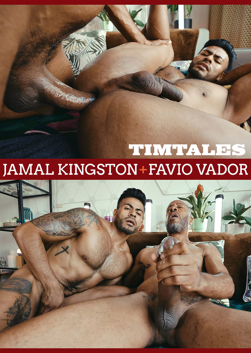 Jamal Kingston Favio Vador TimTales