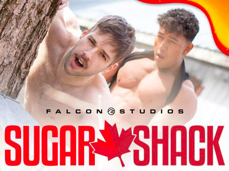 Sugar Shack Falcon NakedSword f