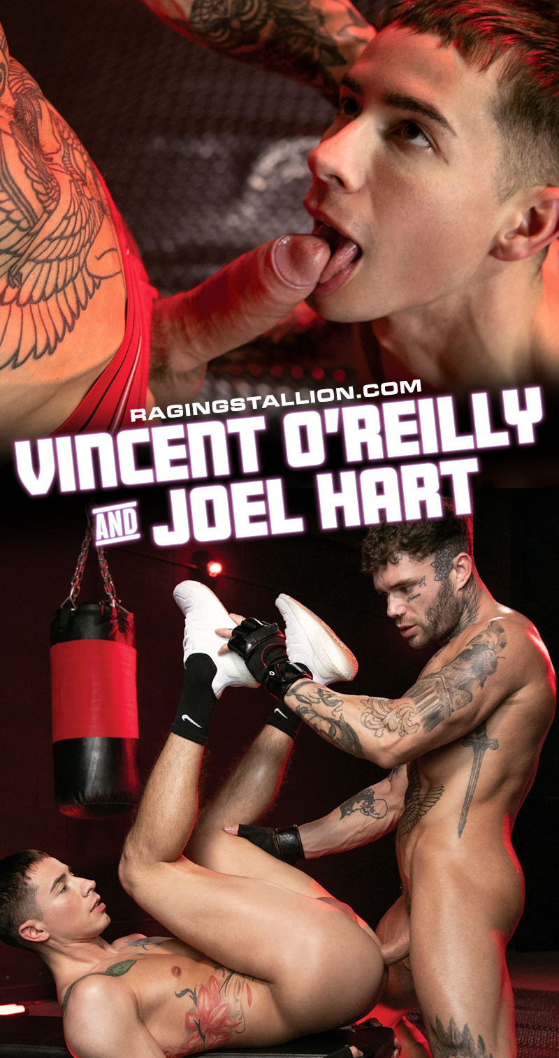 Vincent OReilly Joel Hart Raging Stallion