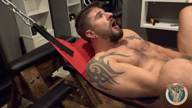 Seans Hole Training Muscle Bear Porn NakedSword