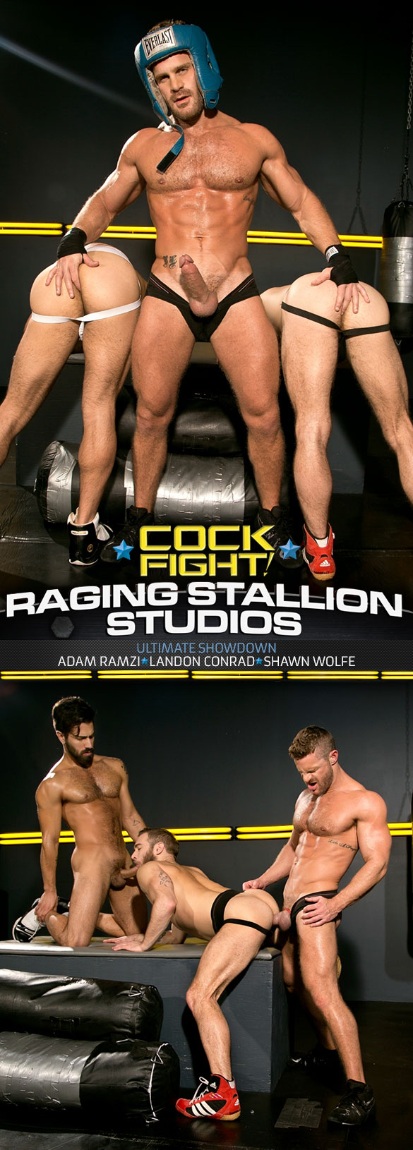 Raging Stallion: Shawn Wolfe, Adam Ramzi and Landon Conrad in “Cock Fight!”